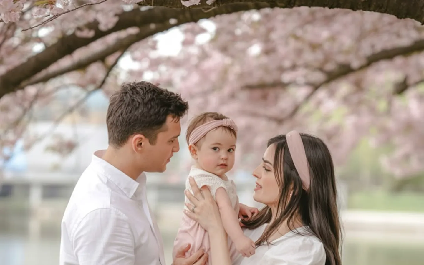 A family under cherry blossoms in Japan