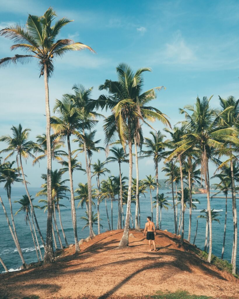 Man walking amidst coconut palms by the ocean in Mirissa, Sri Lanka, embodying tropical paradise vibes.