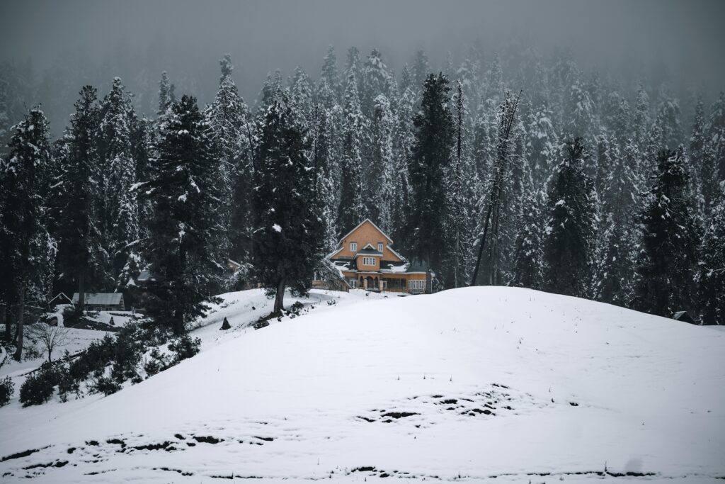 Serene winter scene of a cabin surrounded by snow-covered forest in Gulmarg.